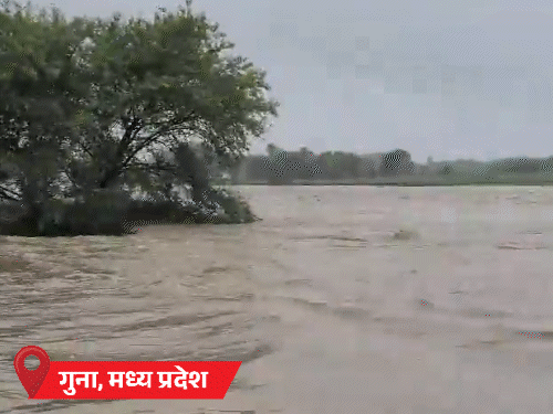 IMD Rainfall Floods Live Update; MP Rajasthan | Delhi Kerala Monsoon Update | Flood in MP’s fold, saved 150 people: houses in Dholpur, Rajasthan filled water; There will be more rain than normal across the country in August-September