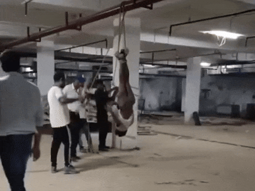 Shocking Gurugram Incident: Migrant Worker Tortured, Hung Upside Down by Builder Contractor | In Gurugram, the person is beaten up by hanging upside down, video: Claim- The close of the minister is torturing the contract; Police arrested 4 people by registering FIR – Gurugram News