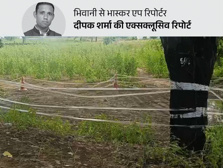 Haryana Bhiwani Lady Teacher Manisha Case Update; Singhani Village | First of all, talk to God -Satyapal, who saw the body of Manisha: There was a herd of dogs, we thought that the baby of the goat was scratching – Bhiwani News