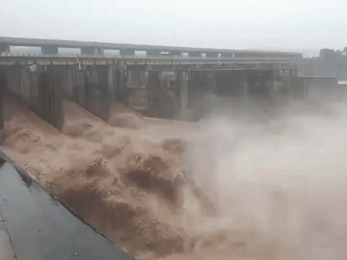 Haryana Issues Flood High Alert as Rivers Cross Danger Level, Heavy Rain Forecast | All the flood gates of Hathnikund barrage opened: Wall fell in Sirsa, water entered into houses in Kaithal, Ghaggar River at Danger Level; Red Alert in 4 districts – Charkhi Dadri News