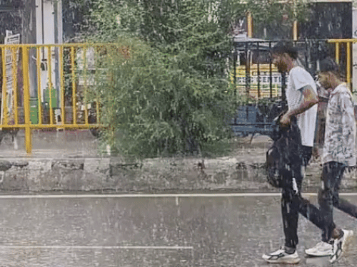 Haryana Monsoon Withdrawal Weather Change Rain Alert | Mausam Update | Possibility of rain in 8 districts: Monsoon farewell from September 20; 29 lakh acres of crop damage in 6 thousand villages – Jind News