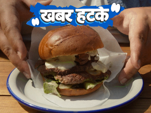 Unique news: Burgers and sausages will be labeled as non-veg only. , News out of the box – Burgers and sausages will only be called non-veg: Pig’s liver remained alive in the human body for 6 months; See 5 interesting news
